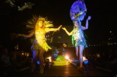 Photos by Michael Troutman (174/365)